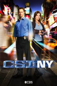 CSI: Nova York